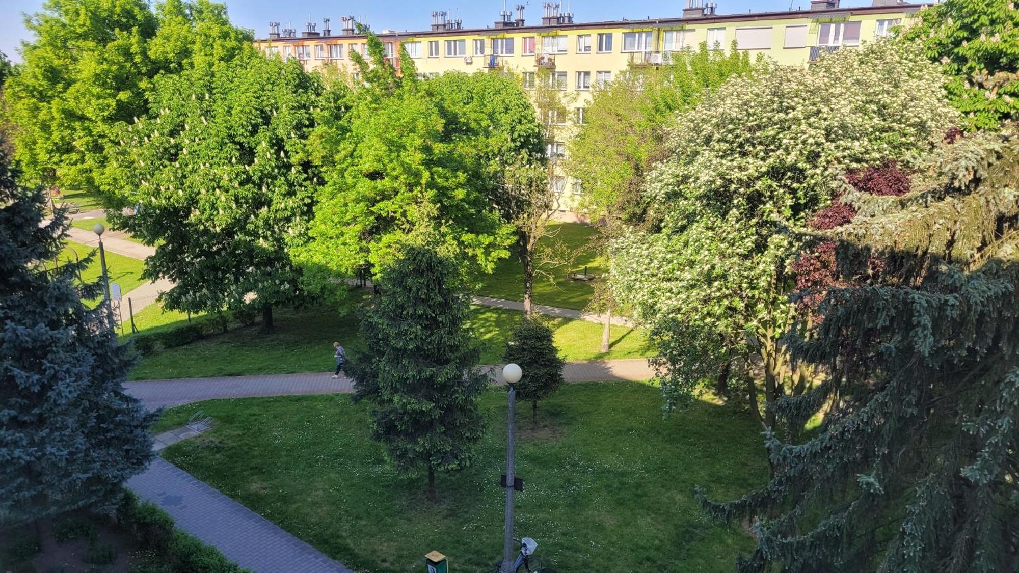 Dams Apartament 奥斯威辛 外观 照片